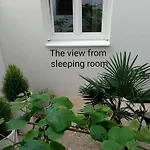 Mimi Veruda Porat